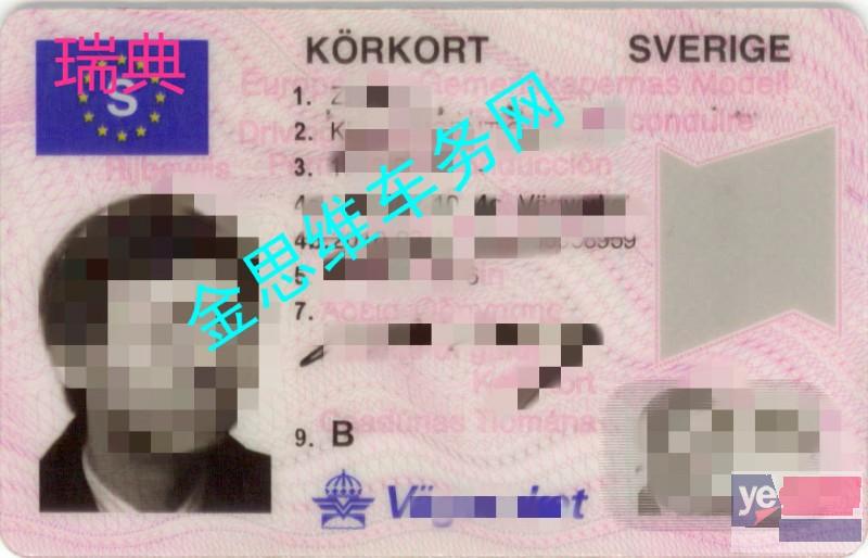 中国驾照在瑞典能用吗