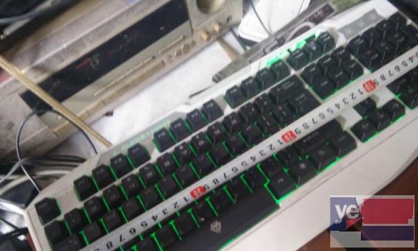 电脑 台式机 键盘 ps/2 背光键盘 草原狼专业游戏键盘