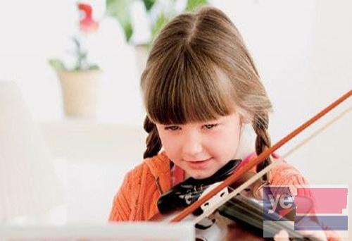 小提琴家教 学生、成人均可报名