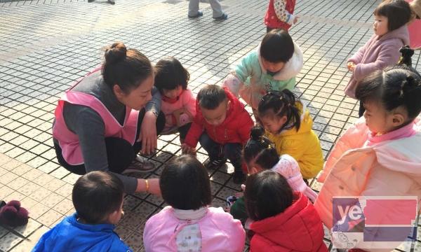 莲桂西路朝阳名宅宝宝日记婴幼儿托管中心招生中！