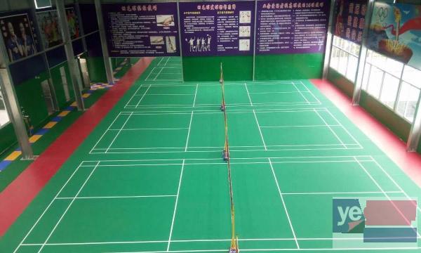 专业的PVC运动地板防滑耐磨舞蹈室幼儿园健身房地胶