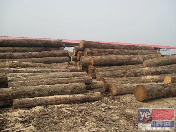 昭通木材鉴定真实精确 木材材质鉴定 树种鉴定权威中心