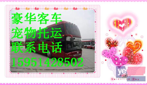 客车)杭州到朝阳直达汽车几小时能到+票价多少?