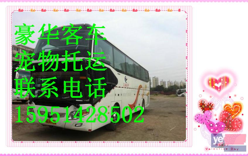 客车)杭州到东营 直达汽车几小时能到+票价多少