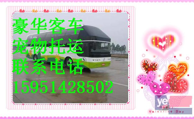客车)杭州到定西直达汽车几小时能到+票价多少?