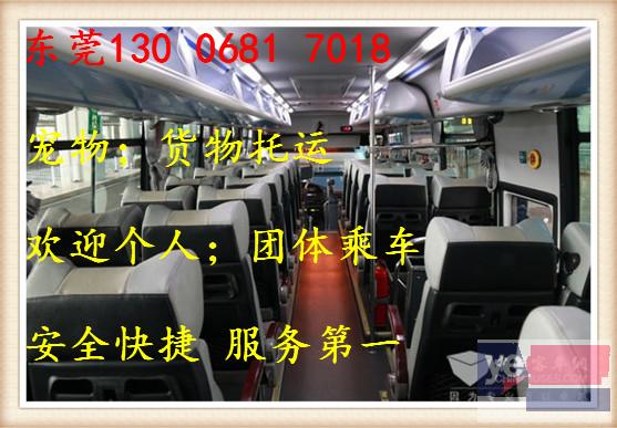 客车)东莞到惠安县直达汽车几个小时能到+价格多