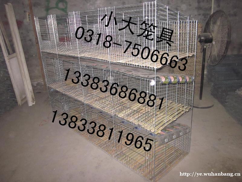 供应鸽子笼 兔子笼 鹧鸪笼 鹌鹑笼 鸡笼 狐狸笼 养殖笼具 