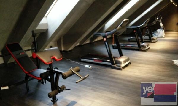 沧州速尔跑步机专卖店 台球桌乒乓球桌各种健身器材