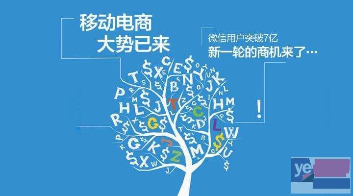 大同,APP开发,系统开发,网站建设