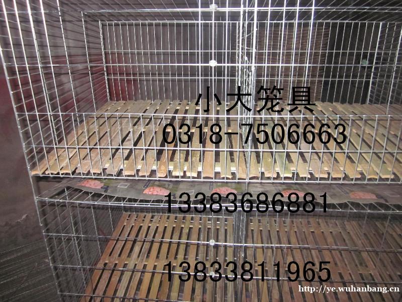 销售鸽笼 兔笼 鸡笼 狗笼 鸟笼 鹌鹑笼 鹧鸪笼 运输笼 竹