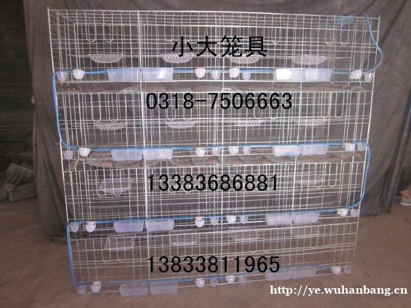 销售兔笼 鸽笼 鸡笼 鹌鹑笼 宠物笼 运输笼 狐狸笼 鹧鸪笼