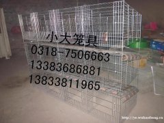 供应鸡笼子 鸽笼子 兔笼子 鹌鹑笼 运输笼 鸟笼 狗笼 猫笼