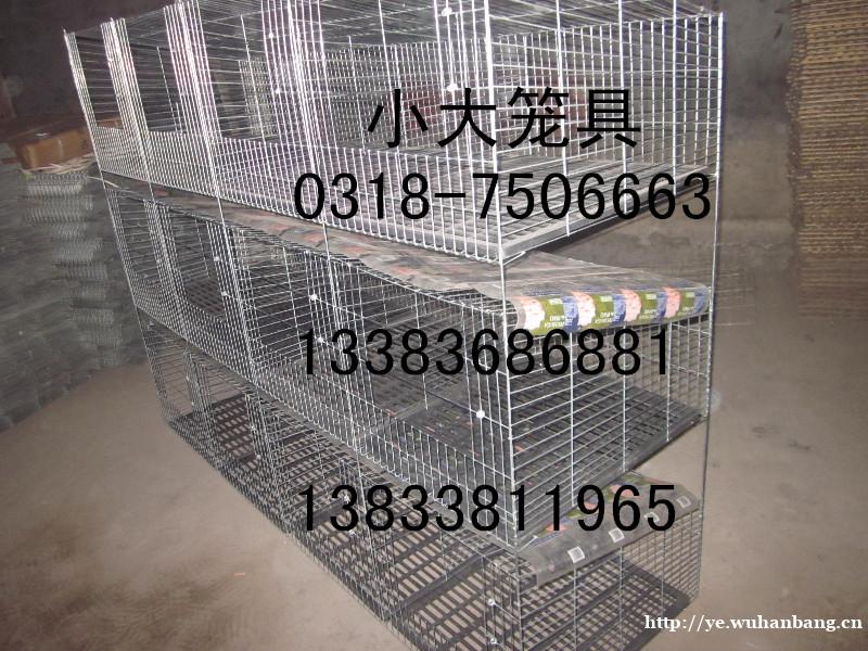 出售鸽笼兔笼鸟笼狗笼鸡笼鹌鹑笼鹧鸪笼狐狸笼运输笼宠物笼