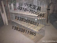 售兔子笼鸽子笼鸡笼鹌鹑笼运输笼鹧鸪笼宠物笼狐狸笼竹鼠笼 产仔