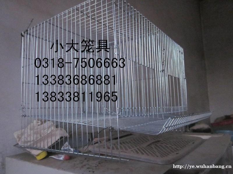 售鸡笼兔子笼鸽子笼鹌鹑笼鹧鸪笼狐狸笼宠物笼运输笼竹鼠笼 鸟笼