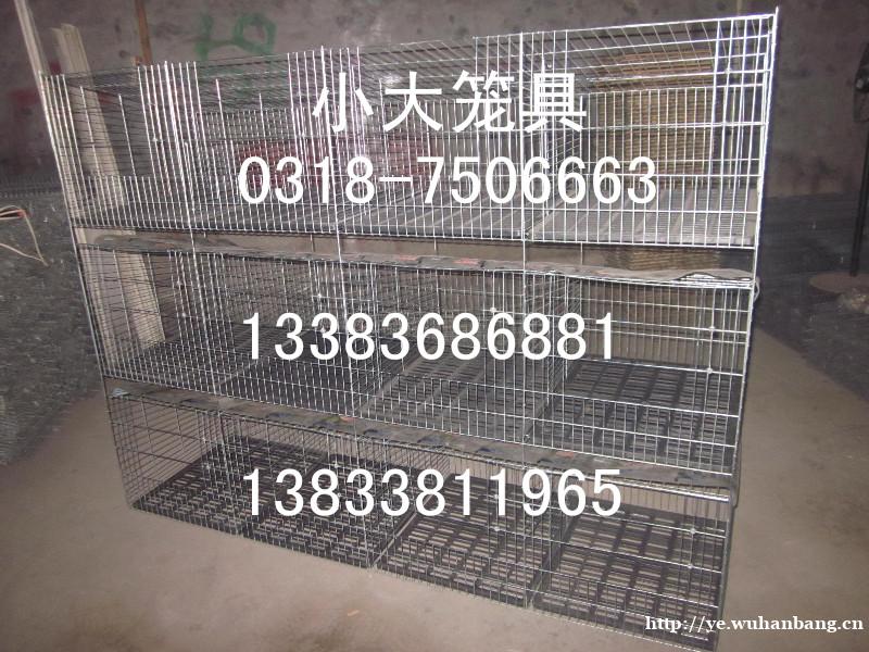 生产鹌鹑笼鸽子笼兔子笼鸡笼鸭笼鹦鹉笼鹧鸪笼运输笼宠物笼狐狸笼