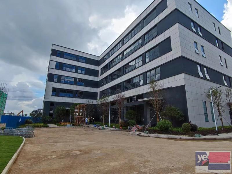 惠城区水口镇 全新标准厂房出售 首付3成 开发商直售