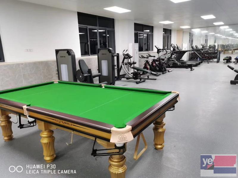 东莞乒乓球桌 台球桌工厂 双鱼 红双喜 桌球台 单位健身室