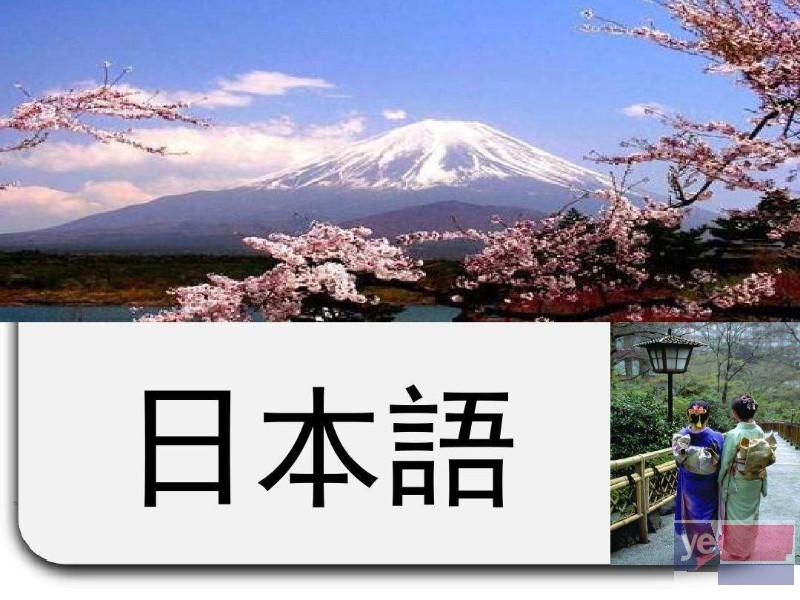 日语一对一培训 日语留学  教学合理,欢迎咨询