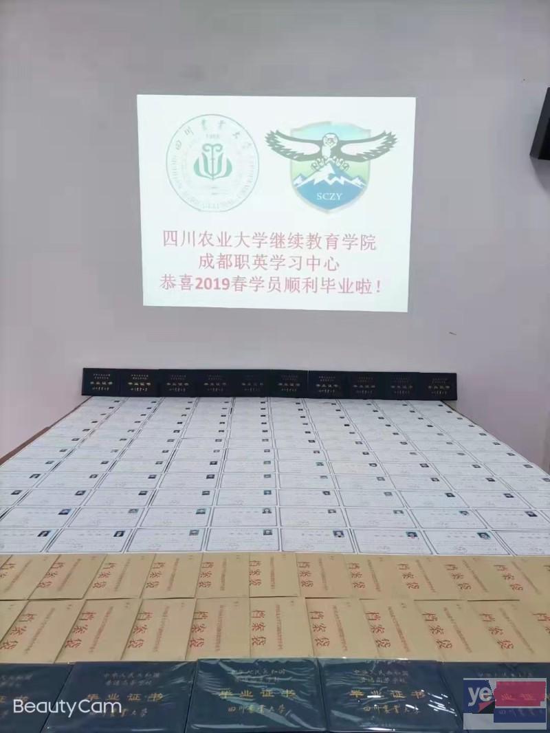 四川师范大学自考本科汉语言文学