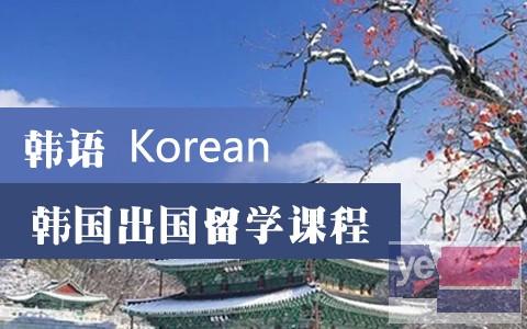 韩国留学的热门专业及院校大盘点