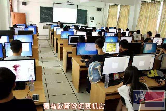 武汉青鸟教育电脑培训