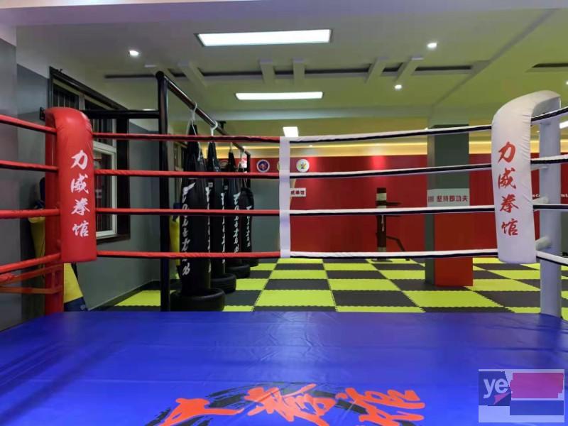怀化专业培训自由搏击和跆拳道