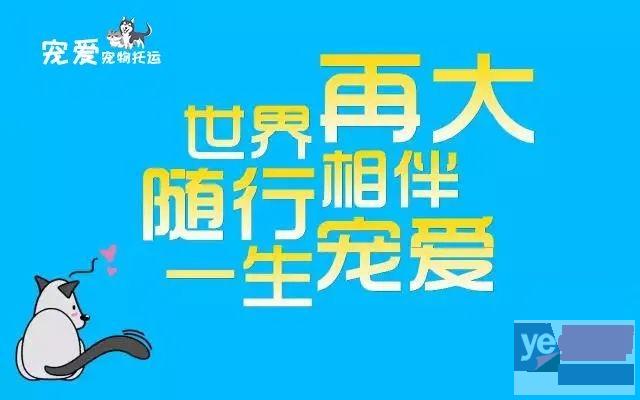 北京宠爱宠物快运-您身边的顺丰快递 信誉保证,更懂客户