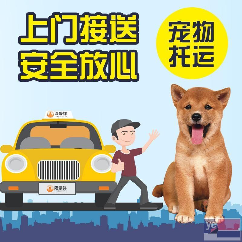 北京快捷的宠物托运公司