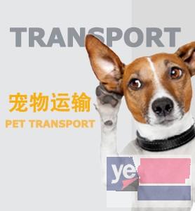 北京快捷的宠物狗陆运公司
