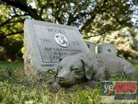 滁州宠物殡葬服务中心,滁州宠物骨灰纪念品定制
