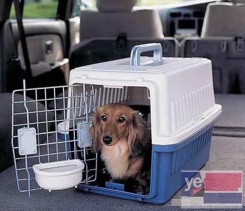 达州宠物托运活体物流猫狗速运空运全国连锁
