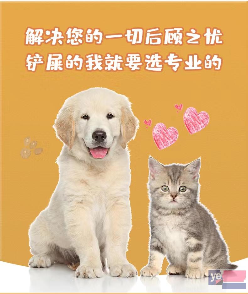 广元宠物托运活体邮寄猫狗速运空运陆运全国连锁