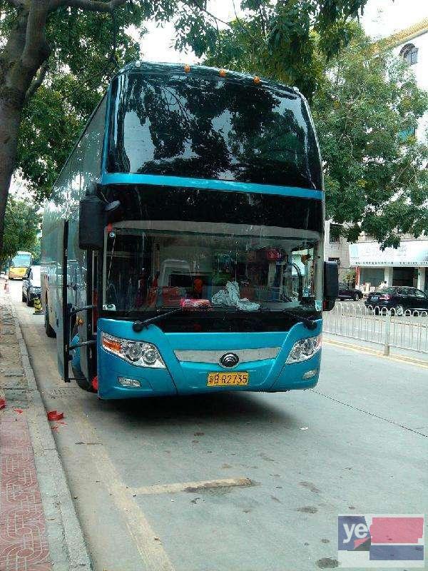 连云港宠物托运活体邮寄猫狗速运空运陆运全国连锁