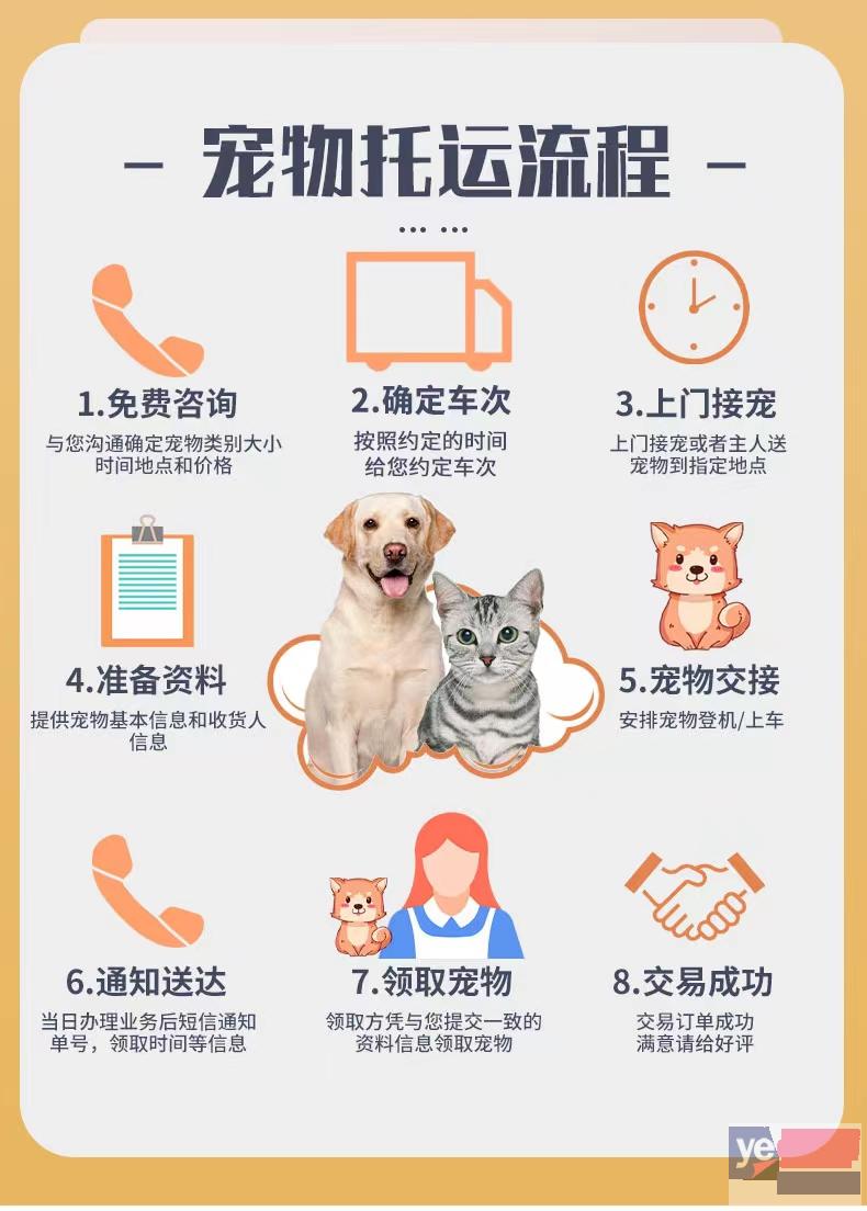 梅州兴宁宠物托运活体邮寄猫狗速运空运陆运全国连锁