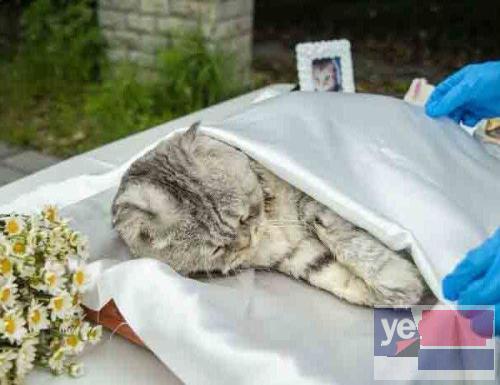 南京宠物殡葬服务中心,南京宠物无害化处理