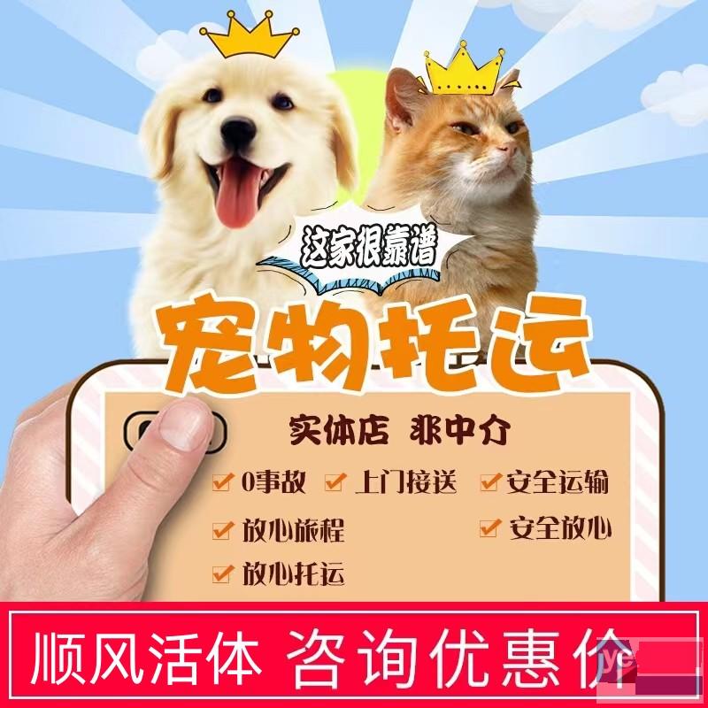 清远市2023宠物猫狗活体托运本地实体门店,高速直达