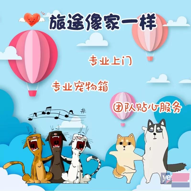 庆阳2023宠物托运活体物流猫狗速运空运全国连锁