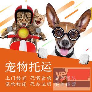 邵阳宠物托运活体邮寄猫狗速运空运陆运全国连锁