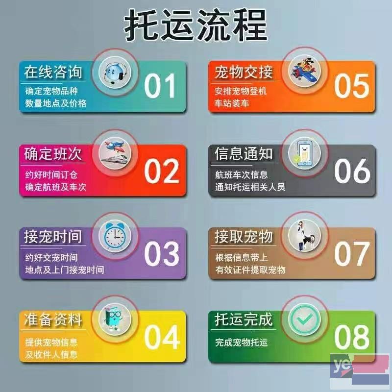 阳江市2023宠物托运公司服务优质,欢迎来询