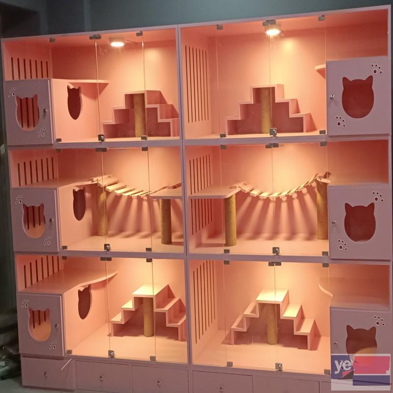 猫房子超大型猫咪豪华别墅猫展示笼大型猫舍繁殖笼寄养笼厂家订制