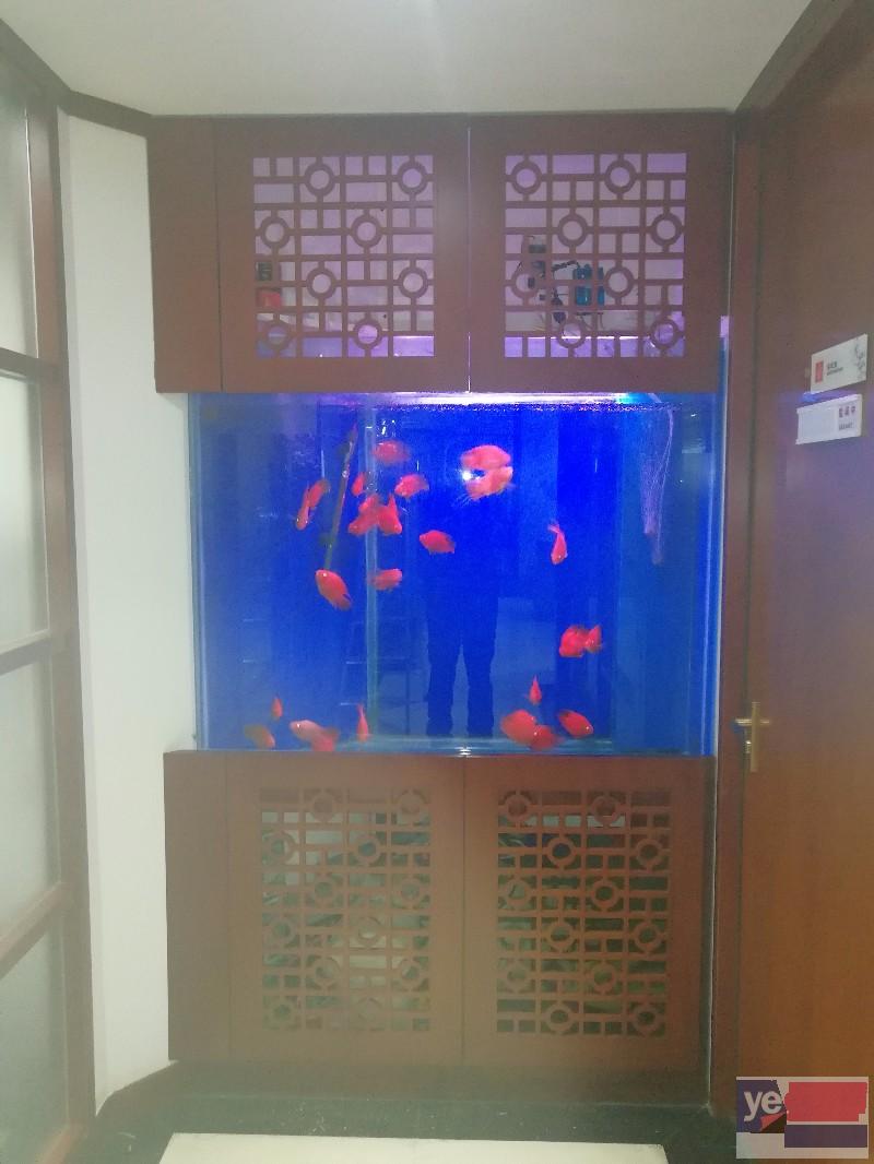 武汉鱼缸制作厂家拟生态鱼缸定制