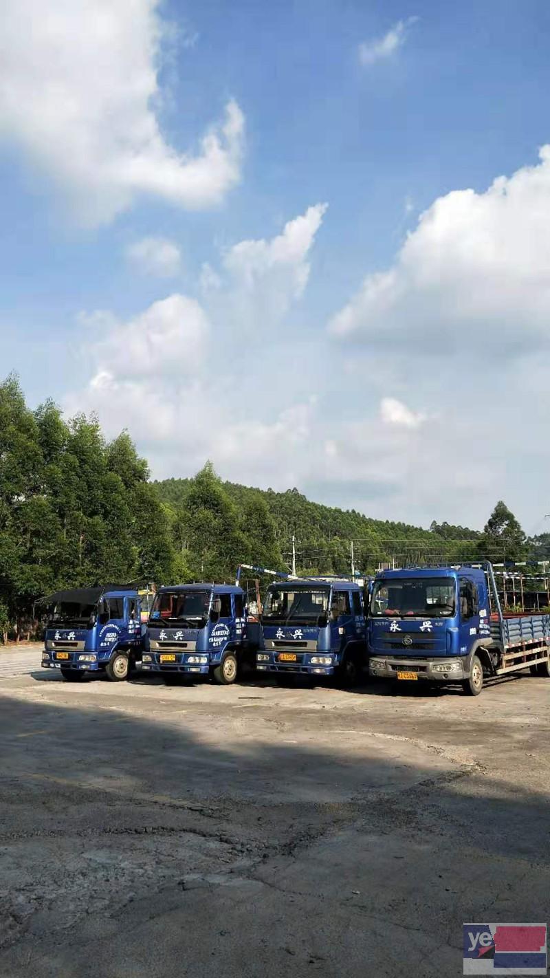 桂林兴安增驾A1大巴车驾照