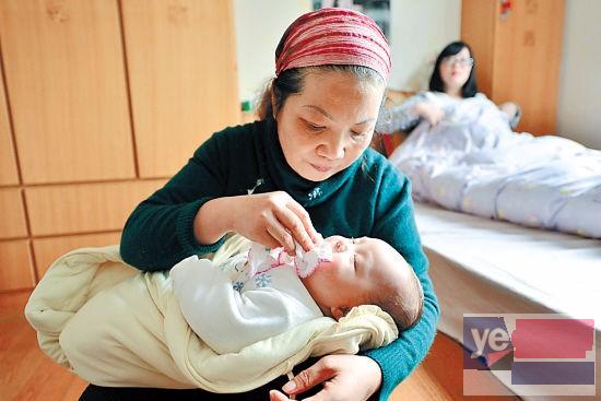 育婴嫂，保姆新生儿，可住家不住家 恪守诚信，价格实惠