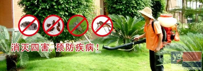 汉滨饭店灭鼠杀虫除臭虫 有害生物防治消杀公司