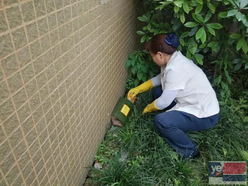 宁陕灭老鼠灭蟑螂 安康有害生物防治中心