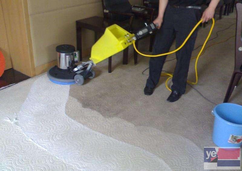 阿里革吉专业上门地毯清洗高效细致，服务到位