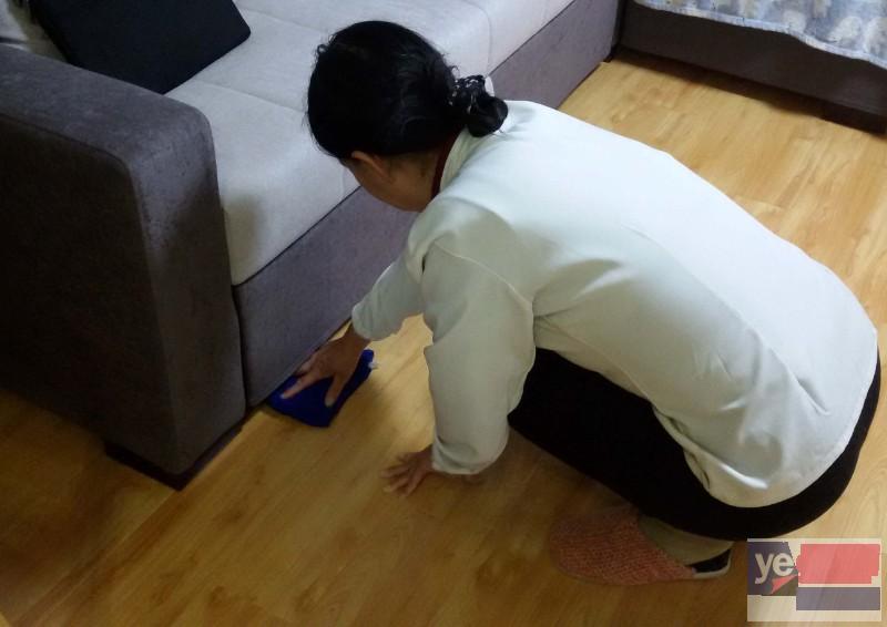 滨州阳信专业公司打扫卫生服务热线