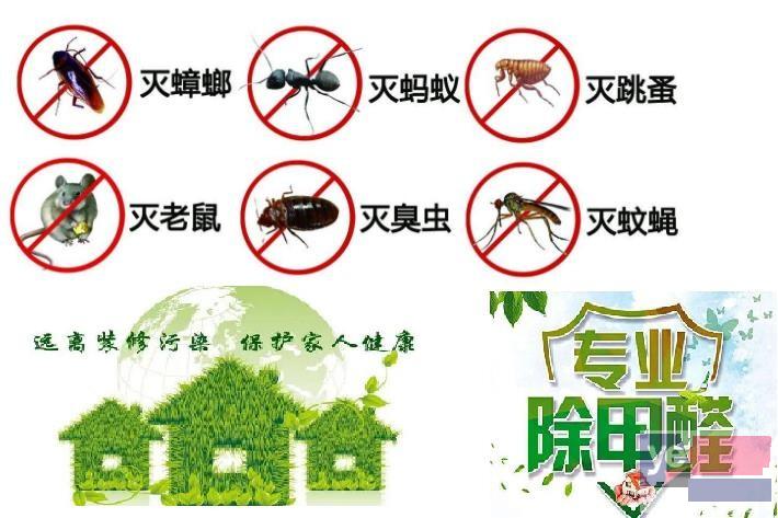 杭州除四害灭鼠白蚁防治杀虫-保洁清洗-甲醛治理等服务有限公司
