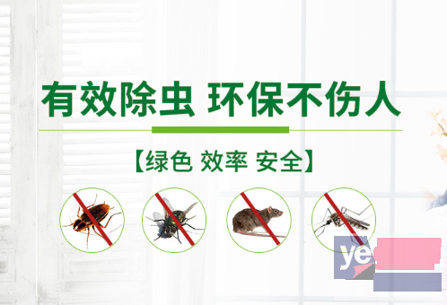 杭州白蚁防治中心-白蚁老鼠四害消杀公司